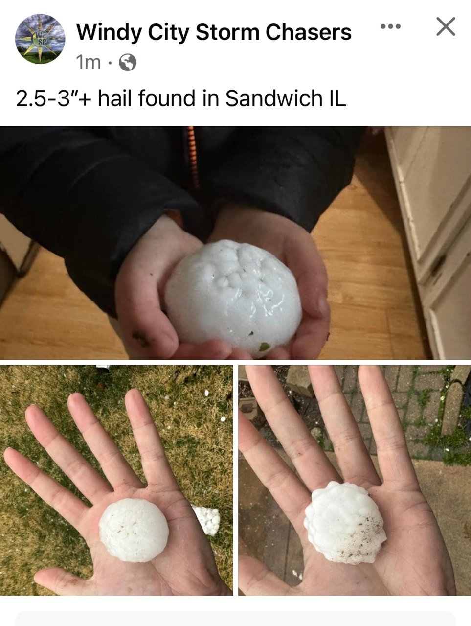 48567.jpg