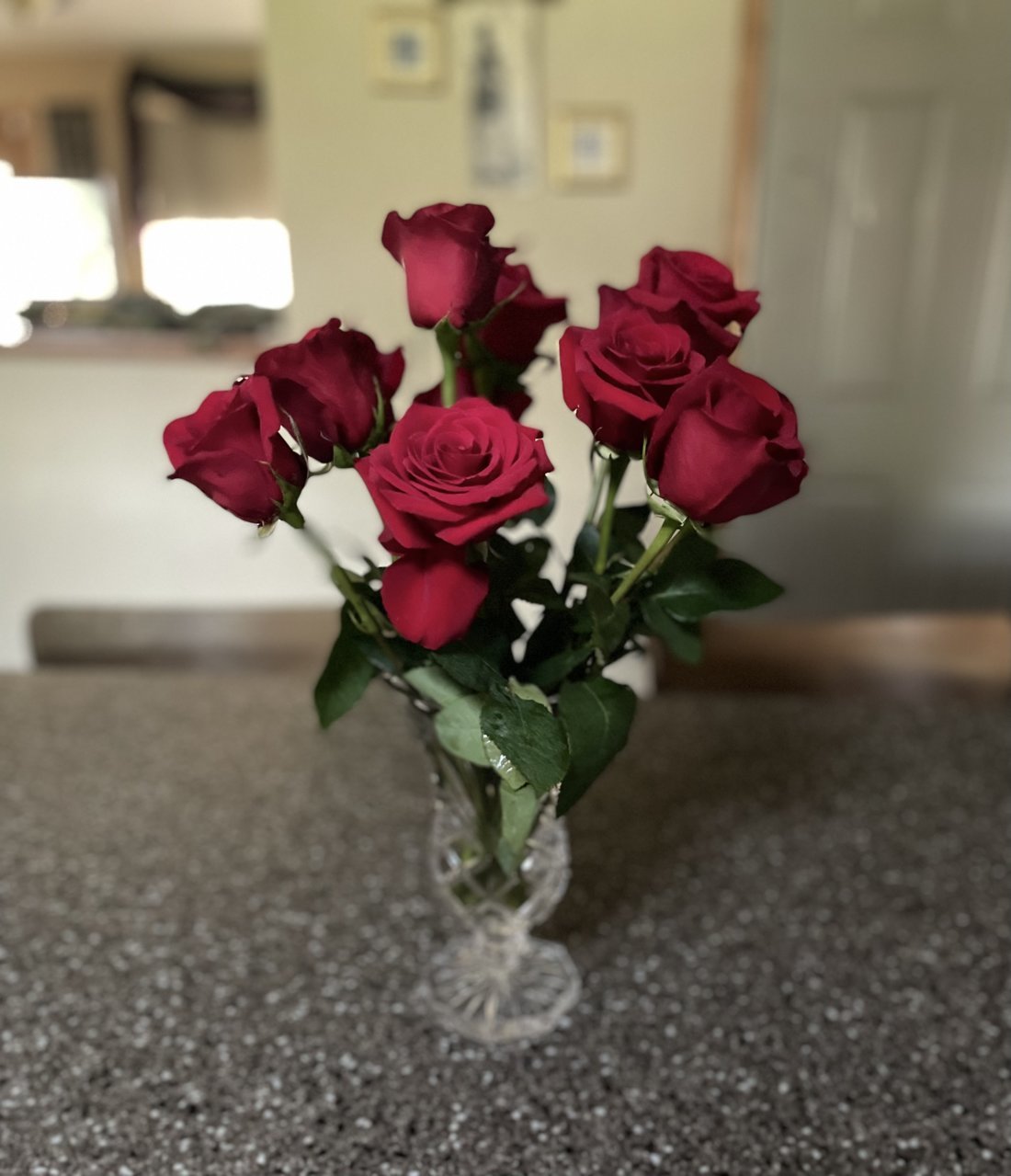 486AFB37-0776-4023-9B78-F4D311B9B993.jpg