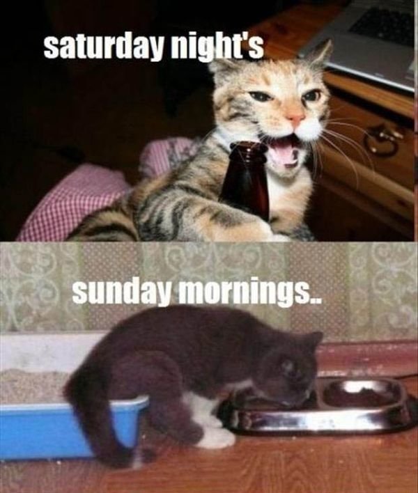 49-Saturday-Funny-Pictures.jpg