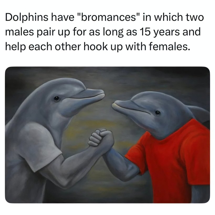 492374257_1253540786367209_1328473138159057224_n.jpg
