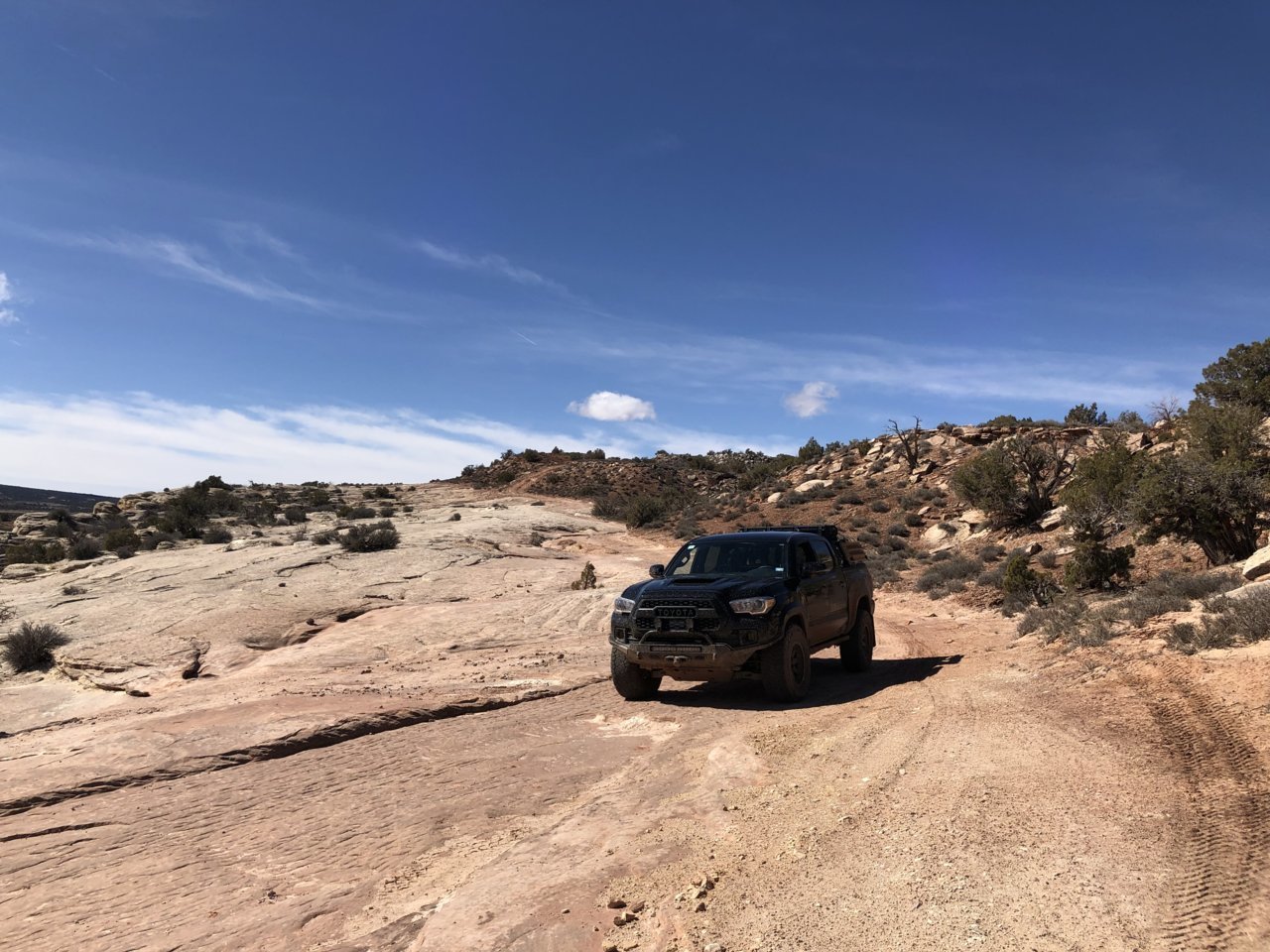 4925D312-D5BC-4829-946C-D1CA1AA261A3.jpg