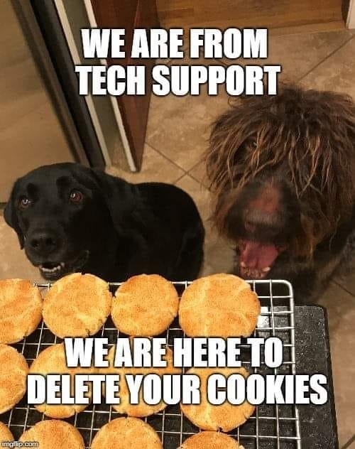 49418593_2484954658244297_1683661844713046016_n.jpg