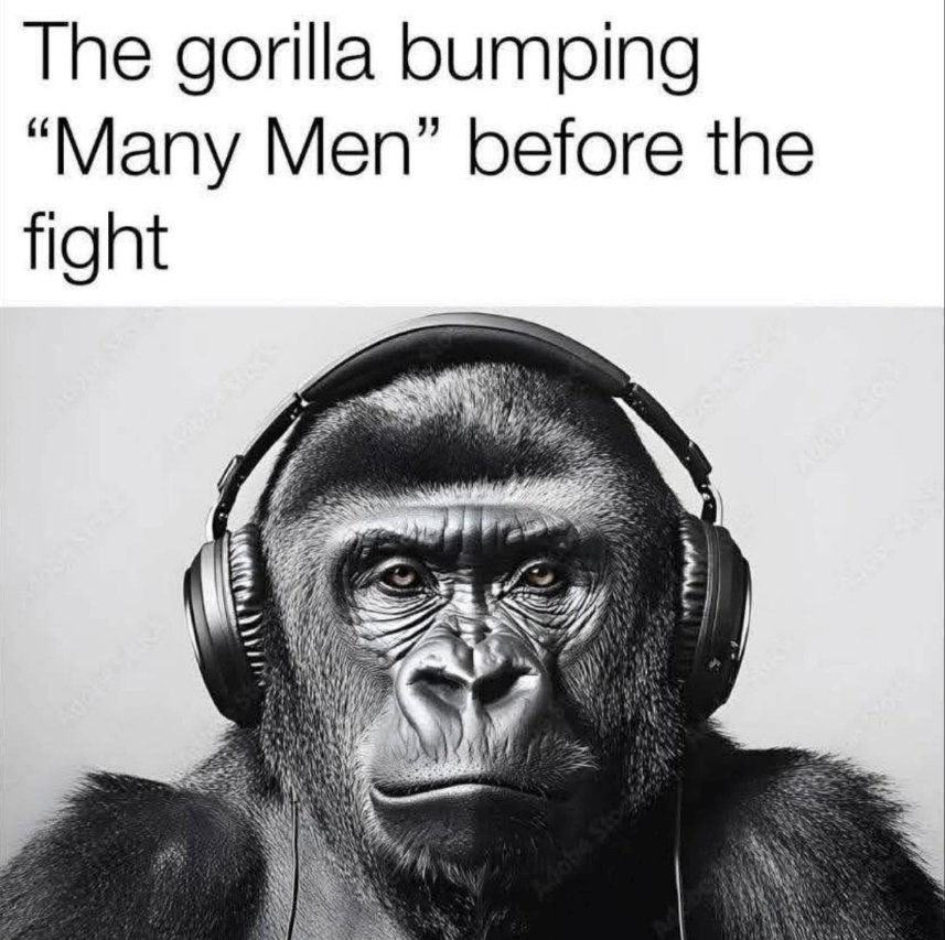 496846504_9544519132342722_8244692838493803232_n.jpg