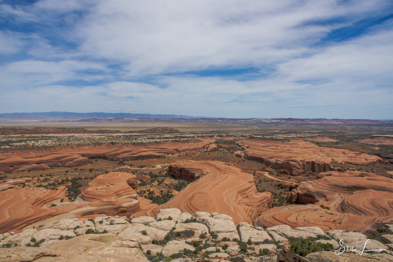 49939671247_a10b098c36_k.jpg