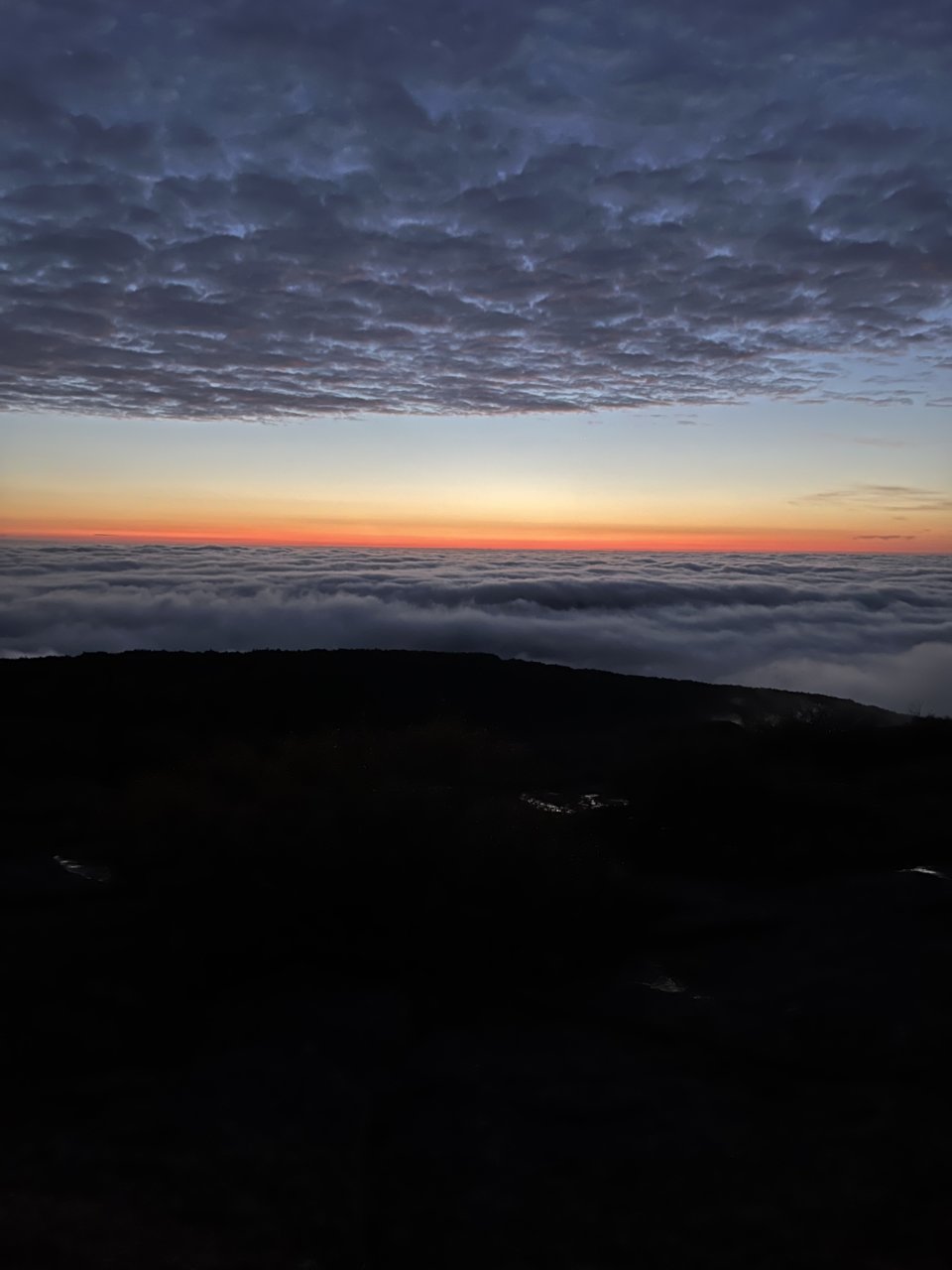 49B7D803-7966-483C-9924-A8F360CE940B.jpg