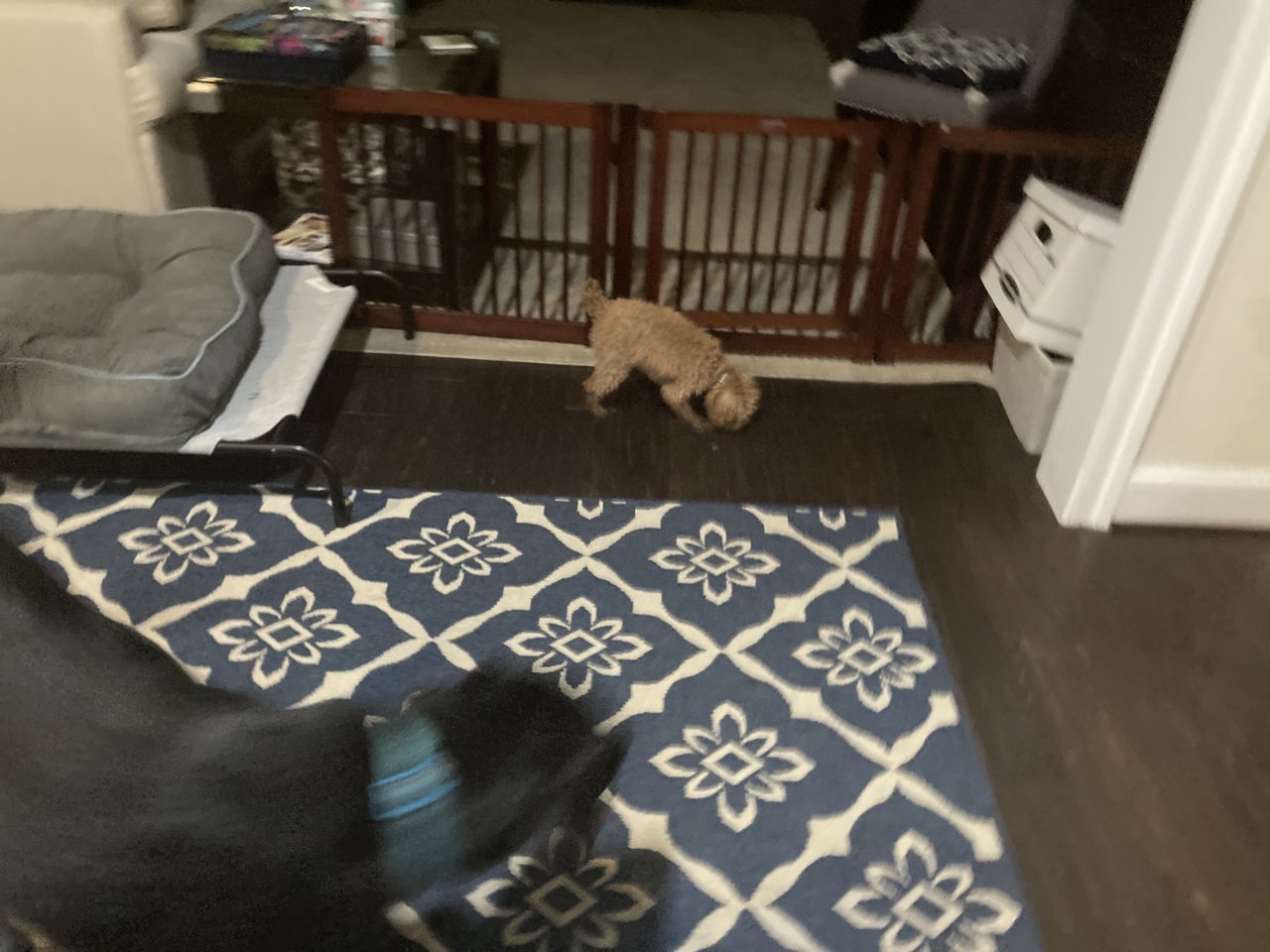 4A050231-6D53-42F9-A473-91AACAA5DB8A.jpg