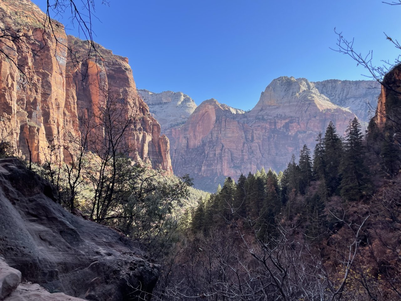 4A7867C1-B6C7-4F1F-B1D7-6D5388E1394B.jpg