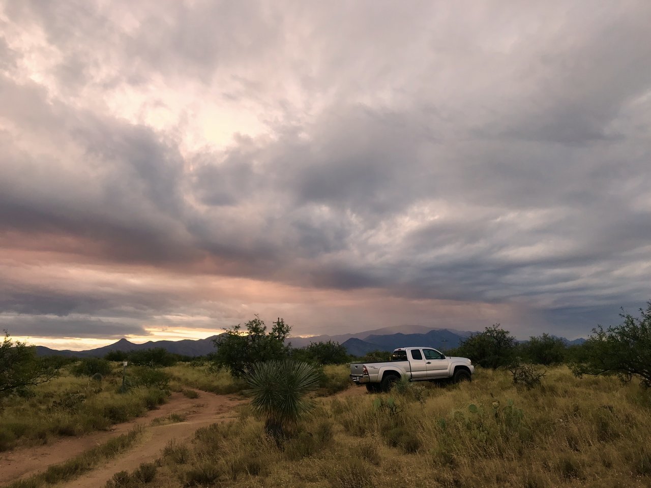 4A78CDAF-E208-4FAD-ACF8-D85CEA3E71F6.jpg