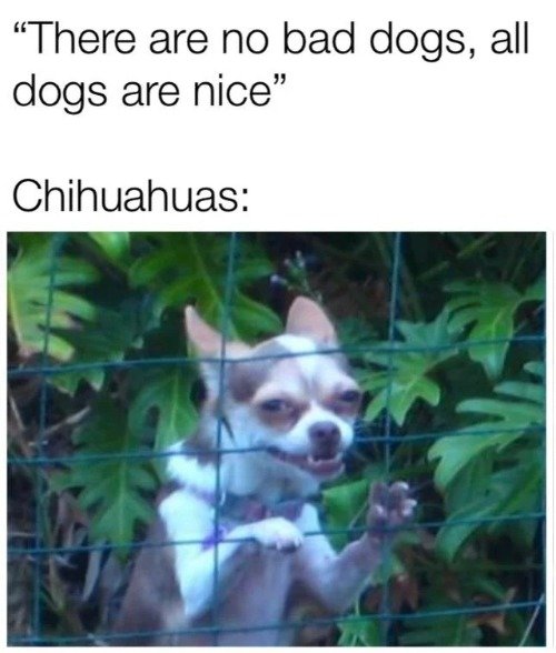 4aappw.jpg