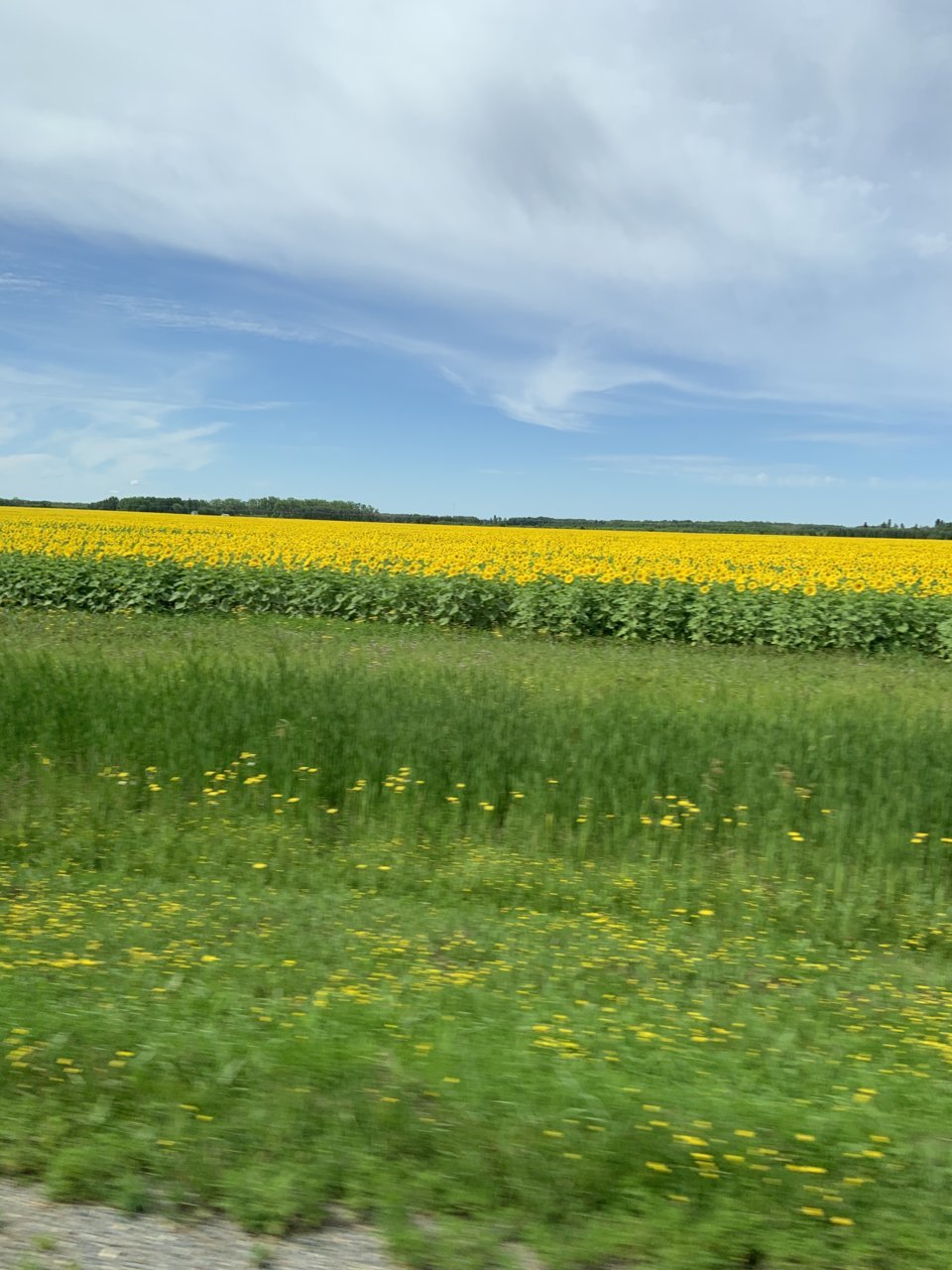 4AE32E18-0DDB-40AC-951A-C2B655187772.jpg