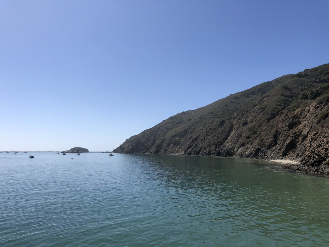 4B549031-2DC2-48ED-A8F1-CBE7C9DBBD8E.jpg