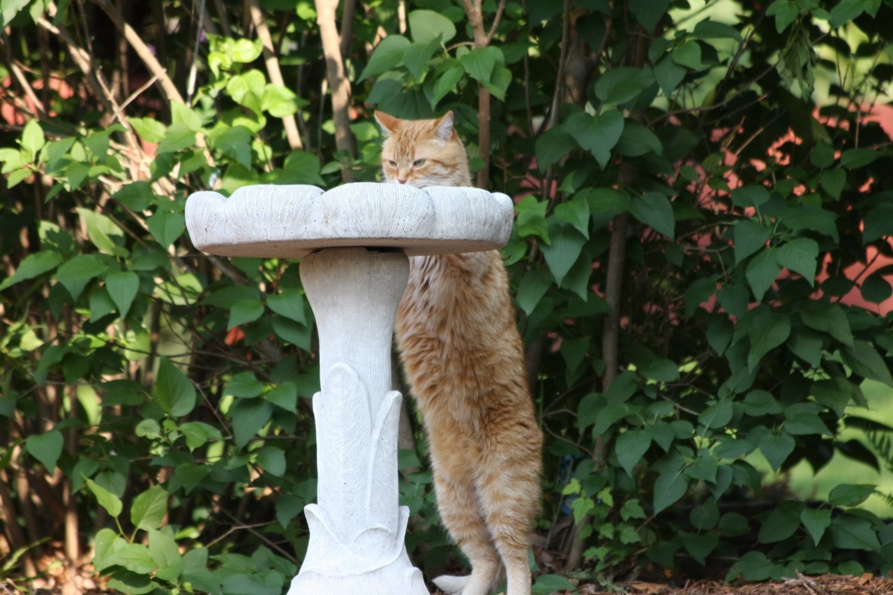 4B77A65D-F1DE-4F44-9EFE-69DD065BEA7D.jpg