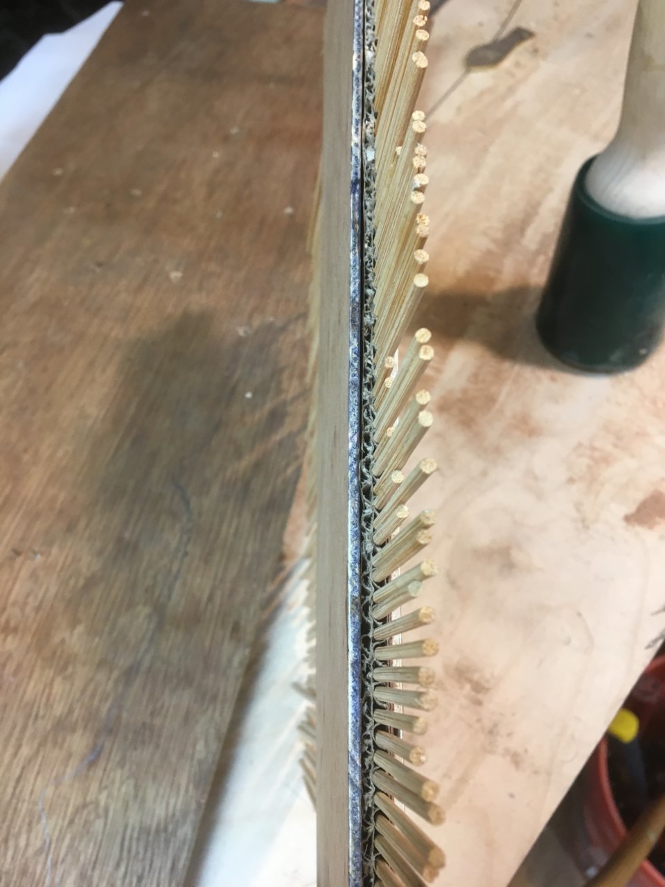 4C23ED98-3BA7-4508-9D38-2DFB2C3E105D.jpg