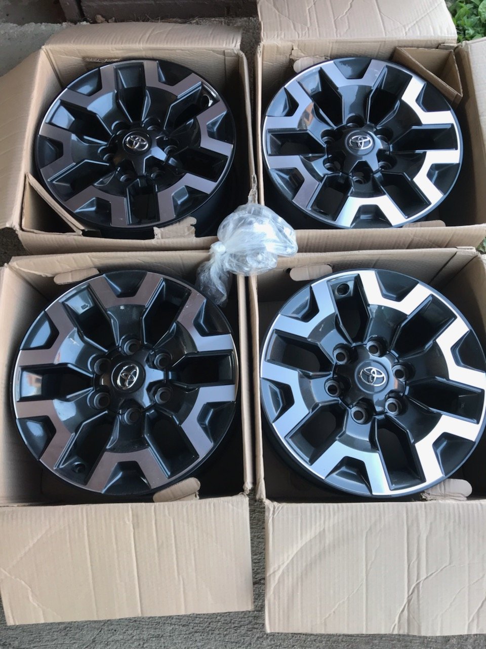 4C24CFEE-9E27-40F6-88AB-DCCFEB33C56E.jpg