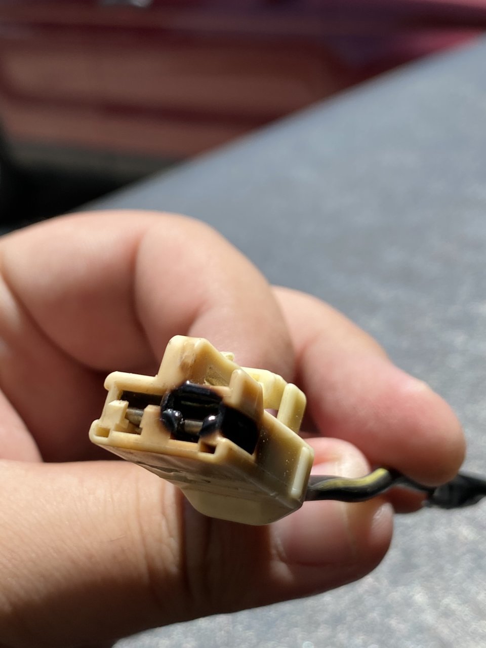 4C3D5820-3271-4048-987D-D9F4E1B9C9F7.jpg