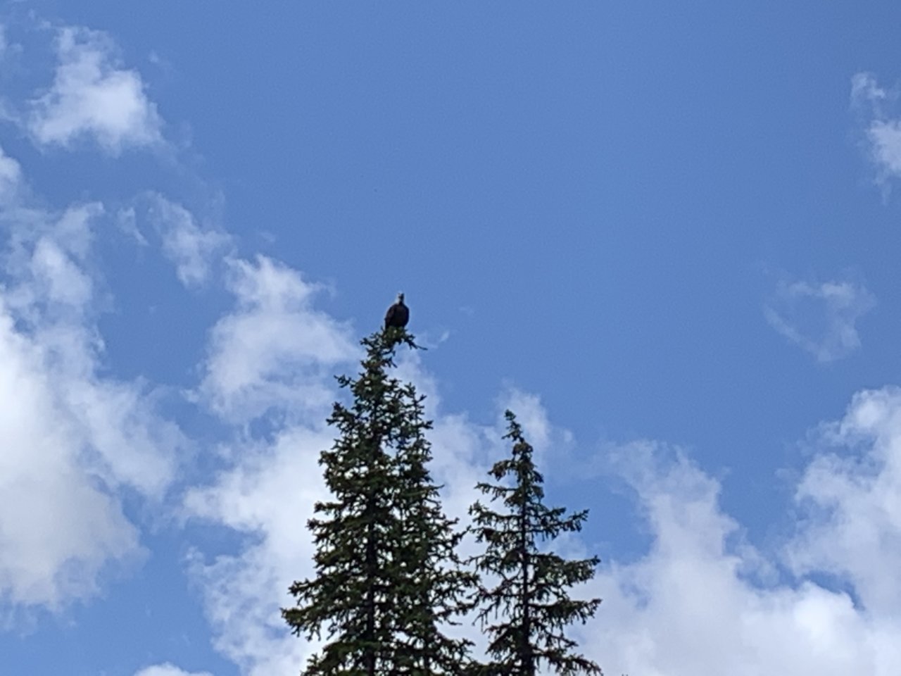 4C5C402D-A29C-479B-9155-E320D0D7706F.jpg