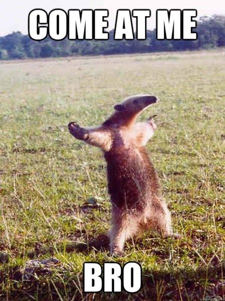 4d3e47d0d953e113b633967dfee27aa8_continue-this-post-on-the-next-meme-come-at-me-bro_599-804.jpg