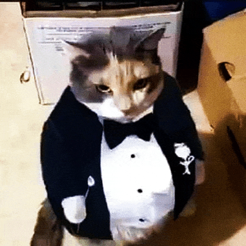 4e192b4db079bdc7a8d11cb52349d7700bc72b59.gif
