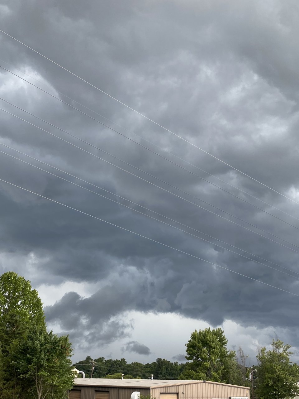 4E5AF7B3-C5D3-476D-9AB6-0464C6349C8F.jpg