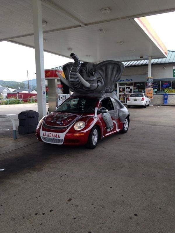 4F43F5DB-8FD1-45E2-846F-E9C5B0500A59.jpg