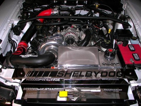 4F86D546-9AEE-4960-9BD1-3F4DDFD1ABEC.jpg