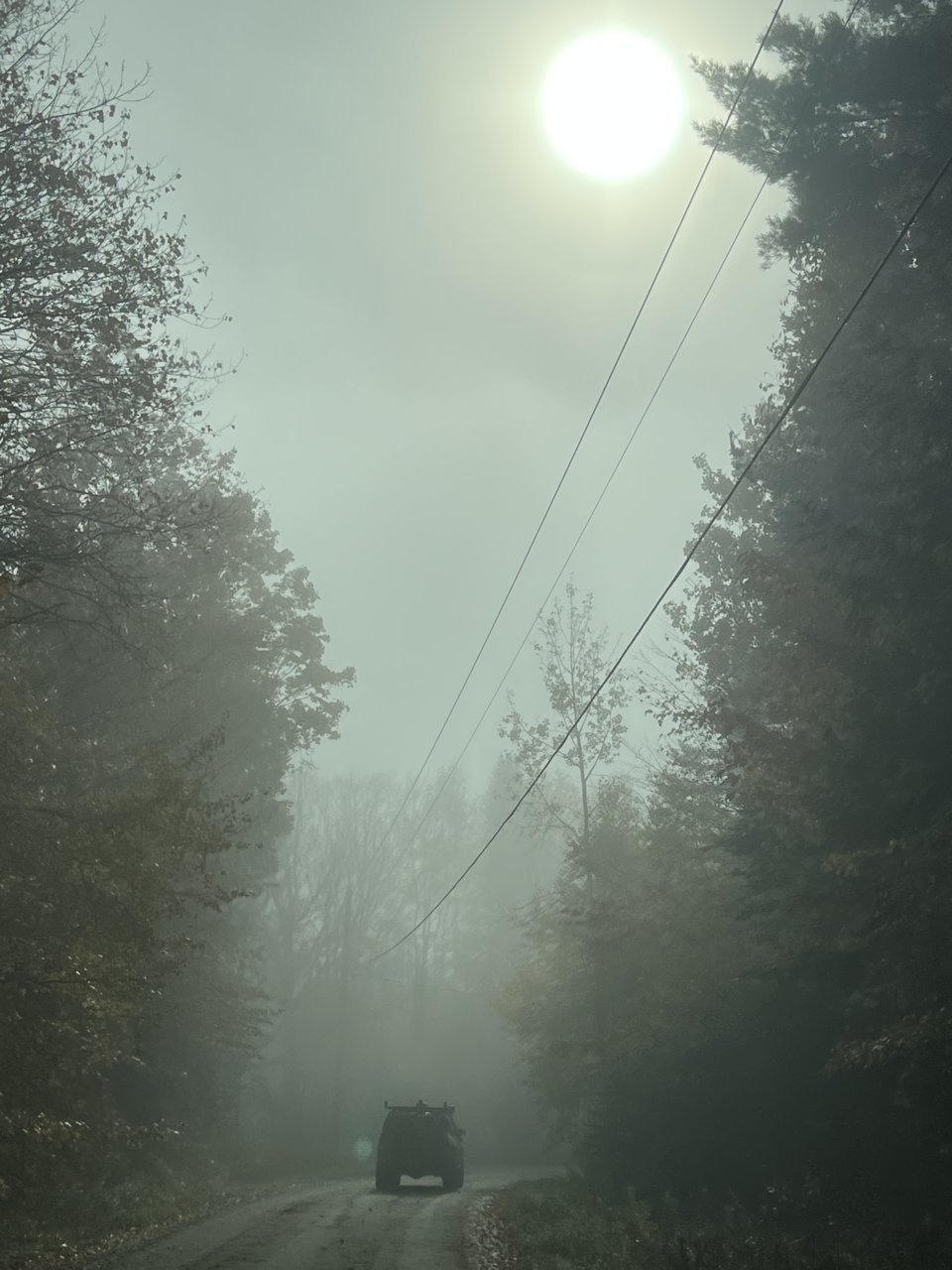 4FB9C07E-3F4B-4A9B-B63C-EE6A2FDB00D7.jpg