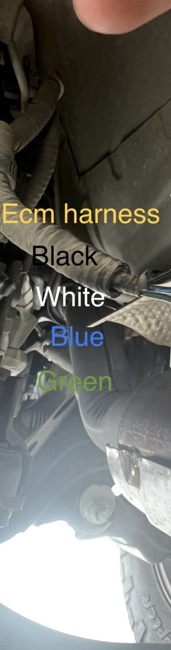 4FCFE150-CB4B-4840-B74C-B35AC7CD4B96.jpg