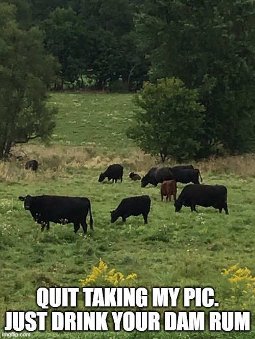 4fcowh.jpg