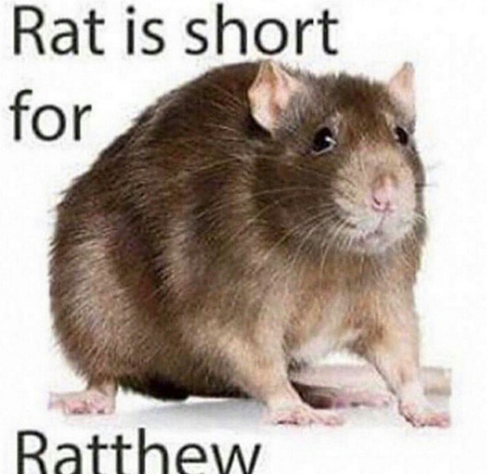 4h543k0fm9f41.jpg