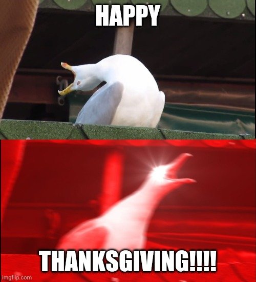 4nxief.jpg