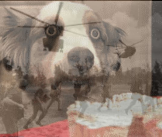4t424e.jpg