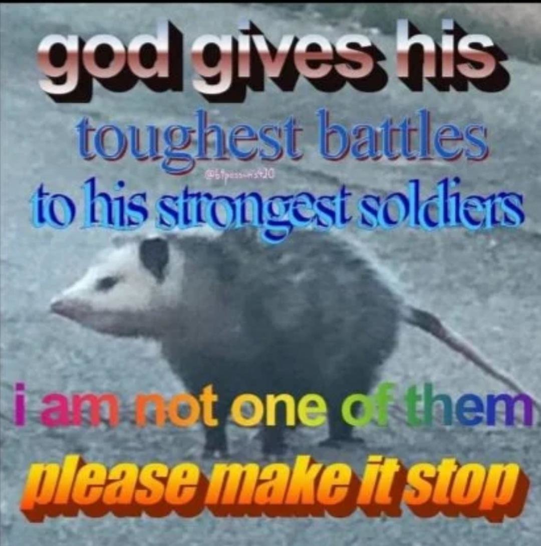 4zRichx.jpg