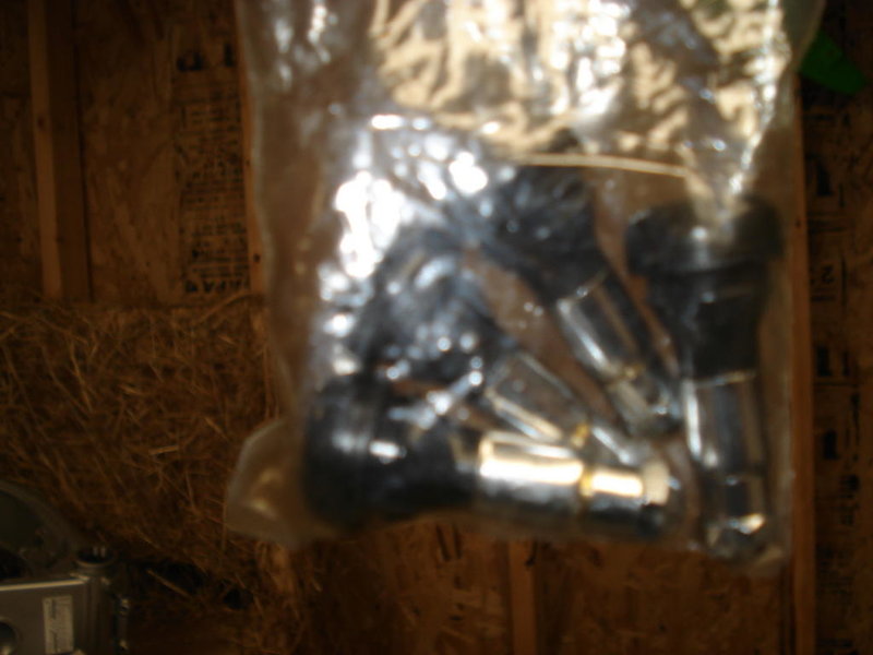 5-15-10 095.jpg