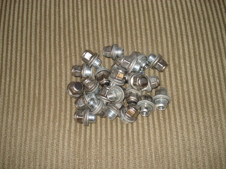5-15-10 096.jpg