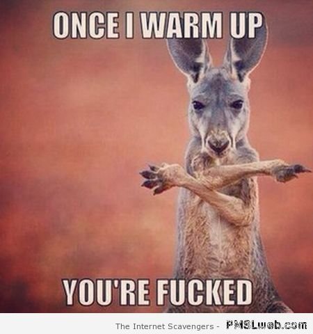 5-once-I-warm-up-kangaroo-meme.jpg