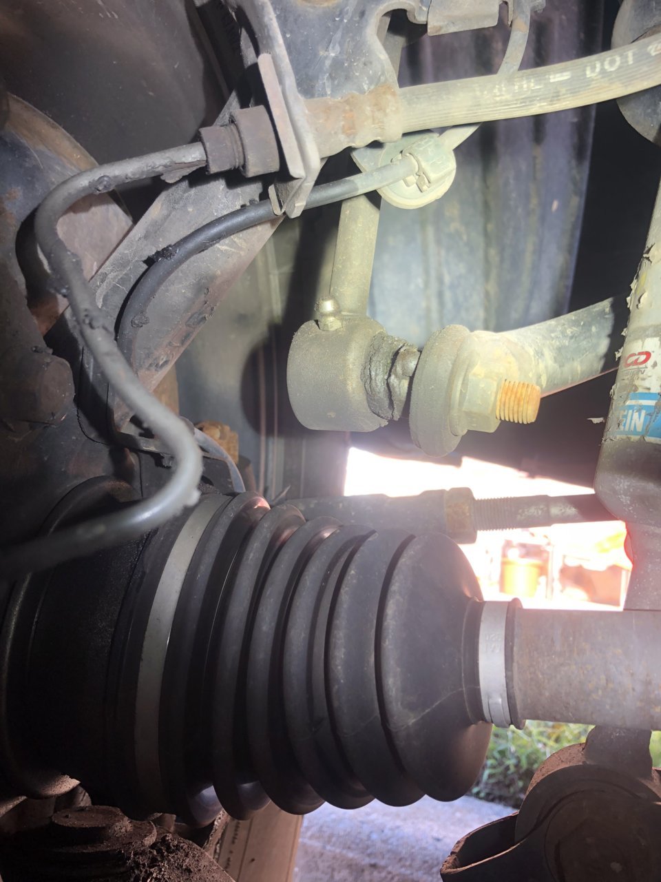 50693AAE-AF42-421B-AF81-EC7E11E1A3AC.jpg