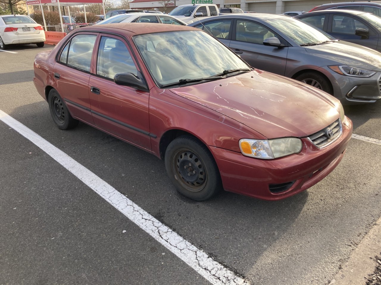50EA319D-2A67-40D3-B2E3-3DF1D765BF54.jpg