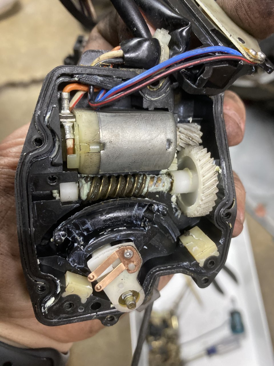 50F75912-488F-4BF0-B963-C2EB358E9B19.jpg