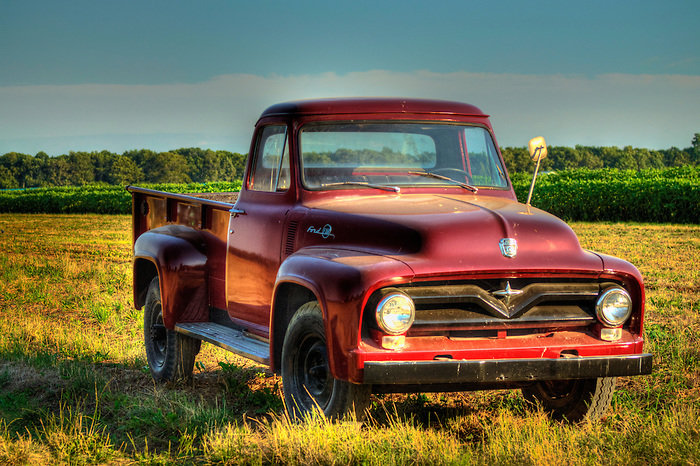 50's f100.jpg