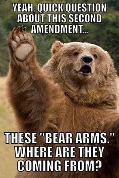 512616becda274c0a7d7814c590e2b13--nd-amendment-so-funny.jpg