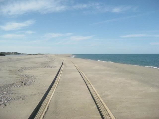 513ShellIsland024_e785c1702f7223915357319925aad12f3054f45c.jpg