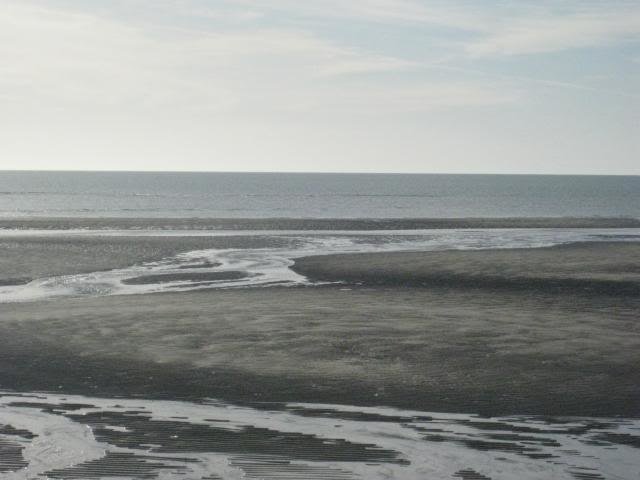 513ShellIsland040_7ab4080404fc50606a215b32a66ede51a6abd5ef.jpg