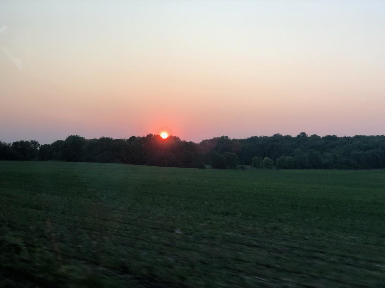 51587.jpg