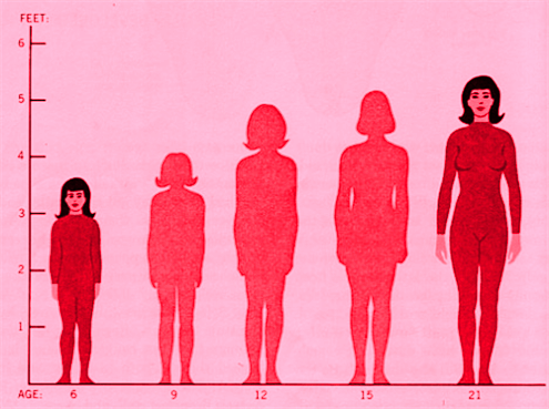 516-us_1960s_womens_height_chart_imagewhi.png