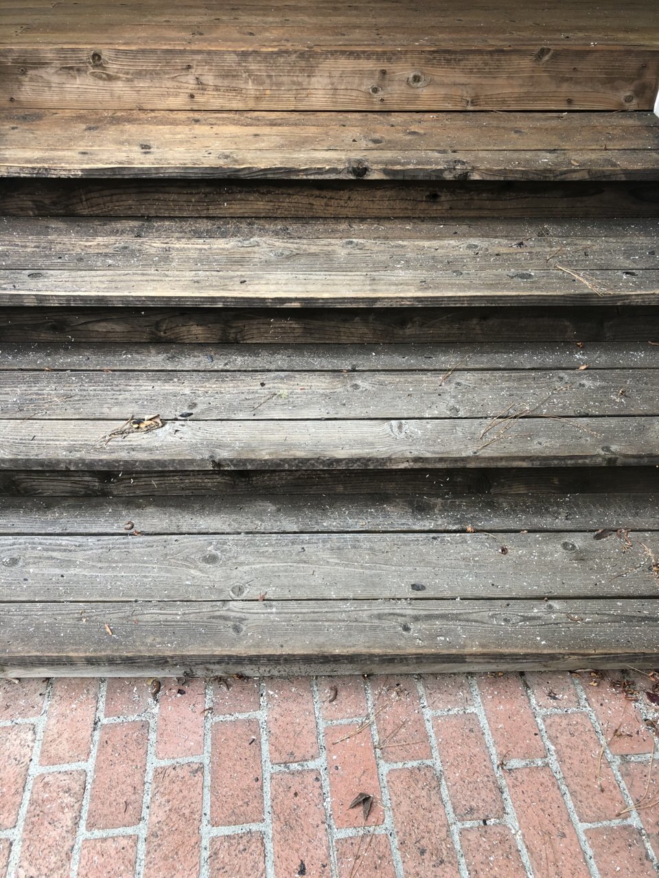 517C0C4B-4ED7-4936-88E7-7D5ED64F73A0.jpg