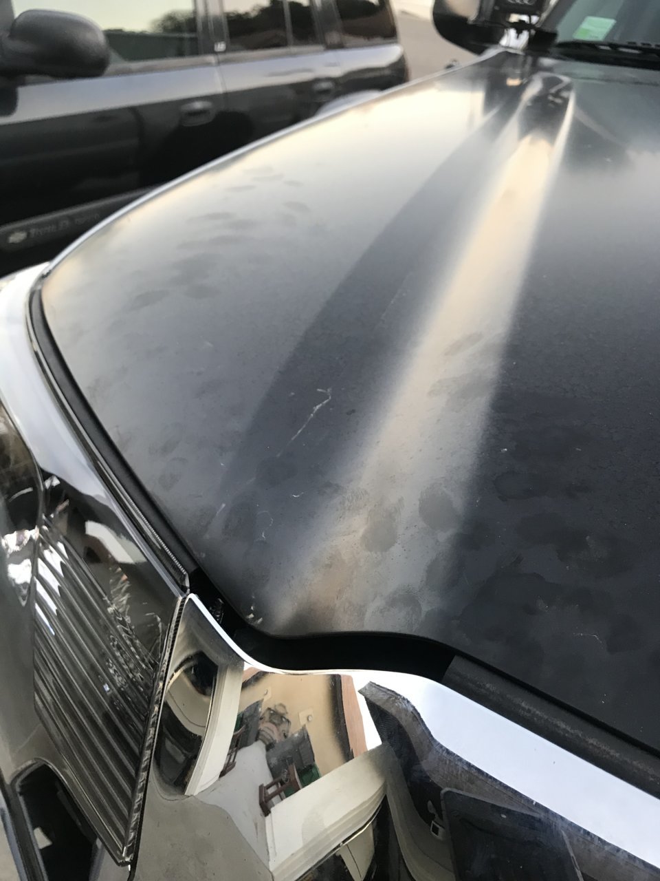517F2504-52C8-441E-A059-765E346BCB27.jpg