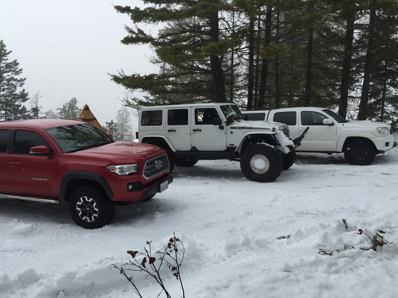 518849B5-FCA3-4DB8-83F6-7AE5ABF16BCA.jpg