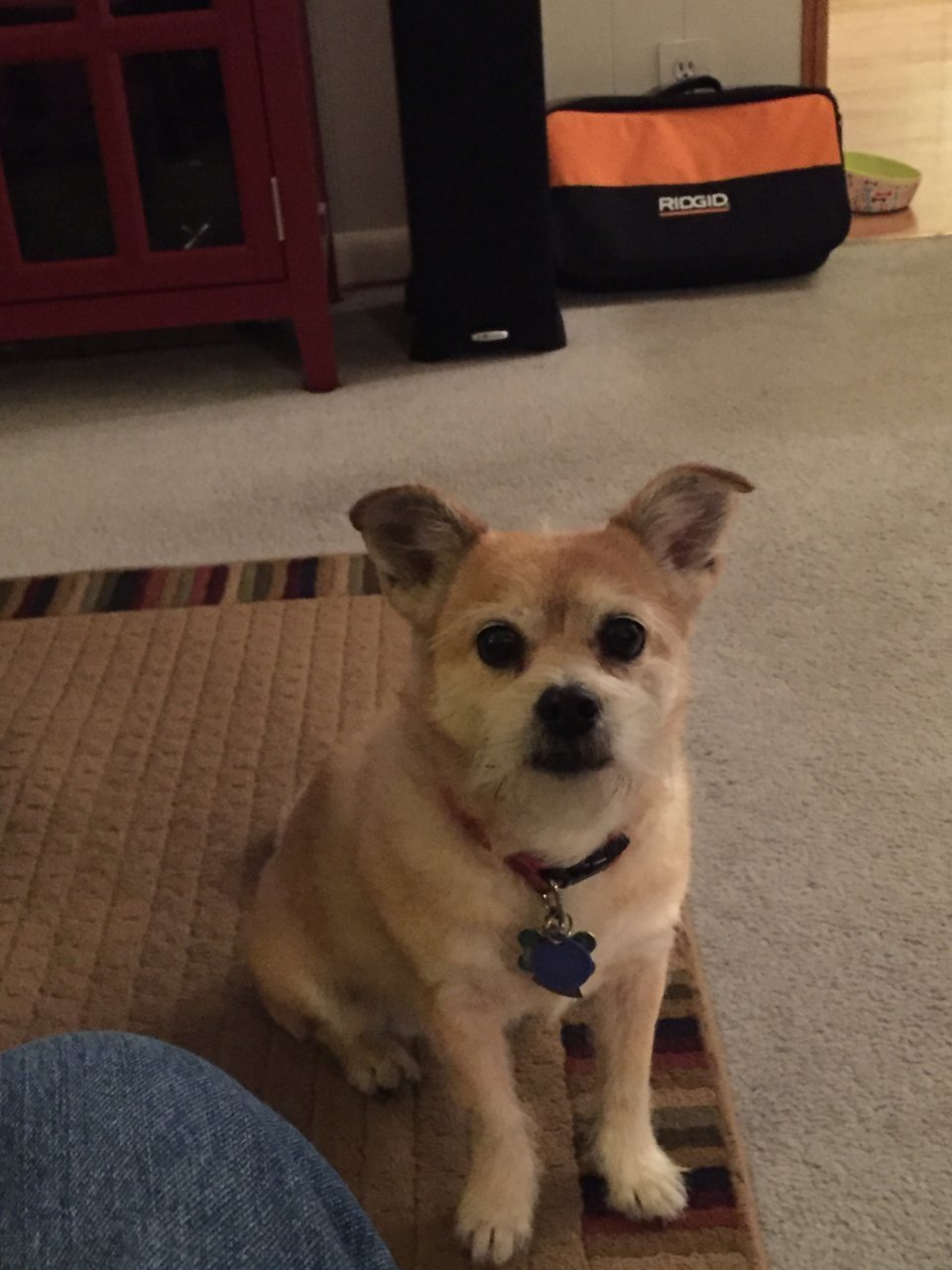 51F2E67D-F921-42B0-8C11-85460BD10BE5.jpg