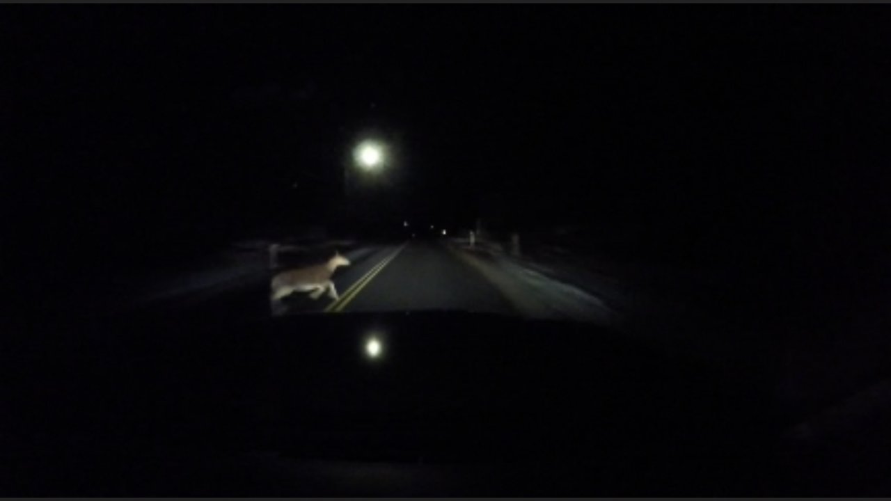 52160D9E-E3E7-4078-9279-5C1CD0603542.jpg