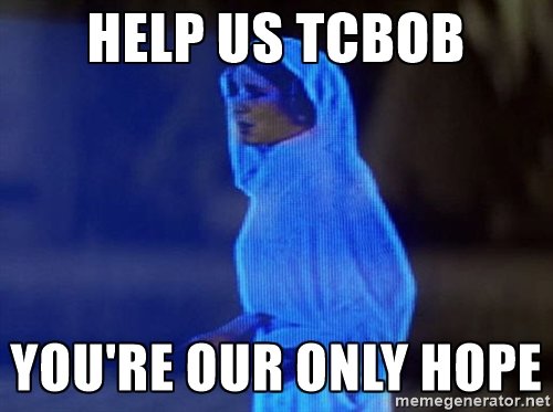 52349576.jpg